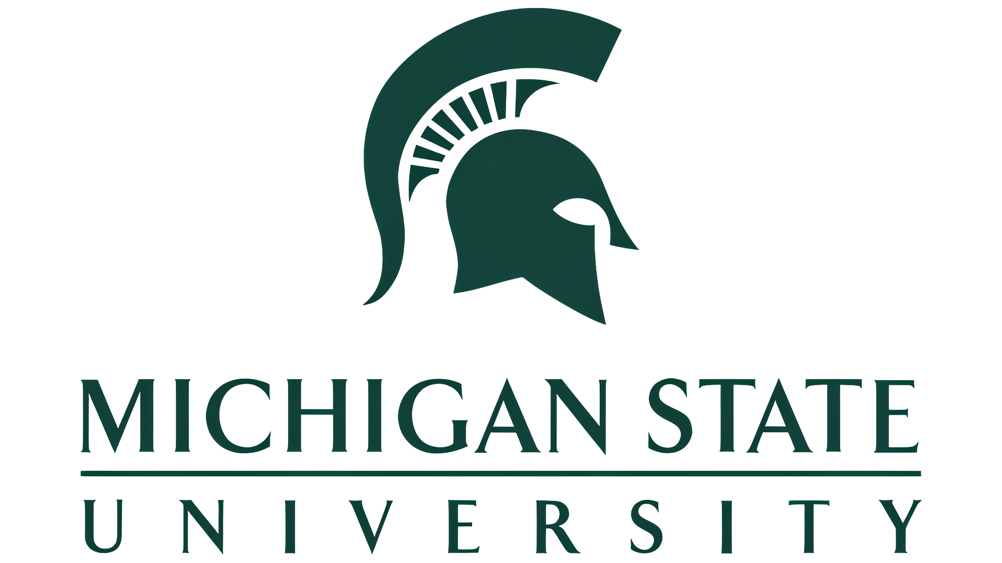 MSU logo