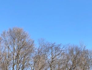 Sky blue - great color for a quilt. We only get a handful of blue sky days here in Michigan. 