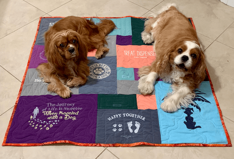 dogs on quilt