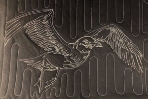 tracing bird