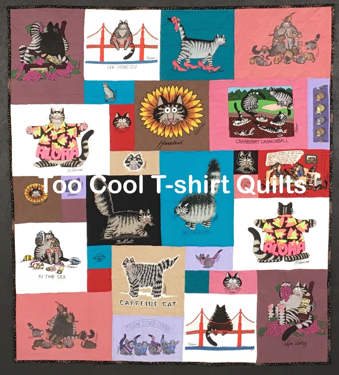 Kliban's Cats T-shirt quilt